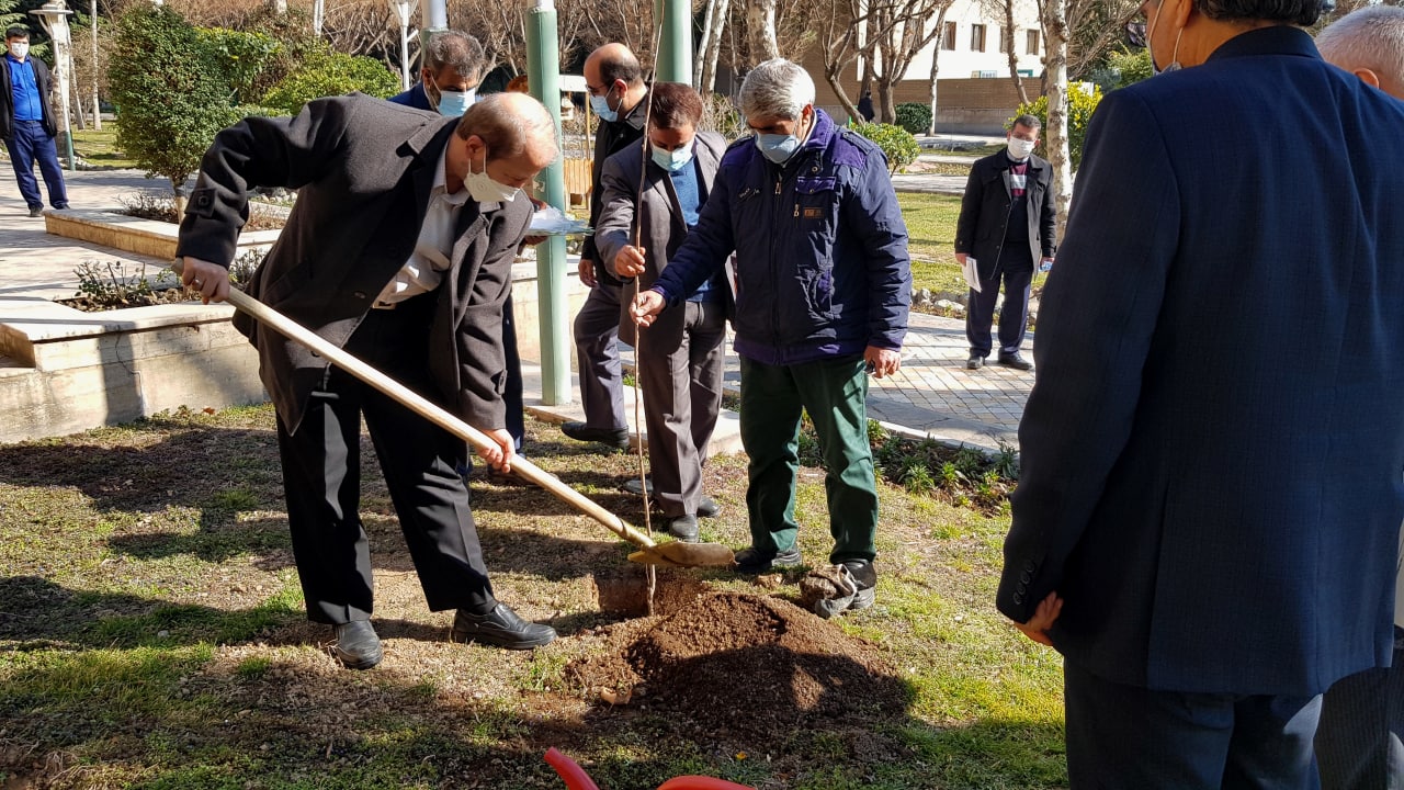 Tree planting ceremony on the occasion of the 40th anniversary of Tarbiat Modares University 