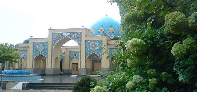 Management & Economics
