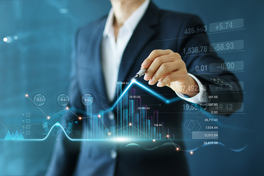 Economic and investment studies and consultancy