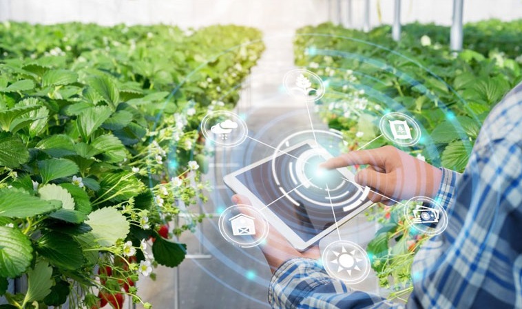 طراحی ربات هوشمند پایشگر مواد مغذی گیاهان گلخانه‌ای