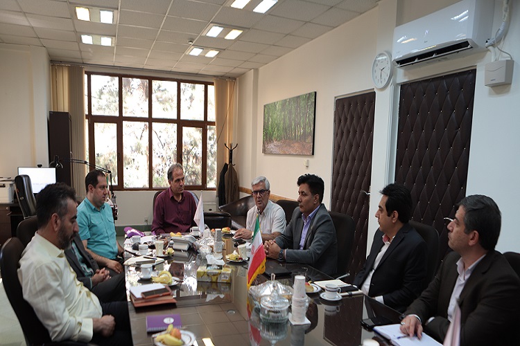 اولین جلسه کارگروه تخصصی طرح تحول دیجیتال دانشگاه برگزار شد