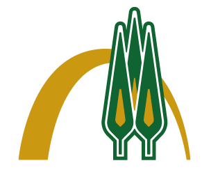 مرکز مطالعات آفریقا